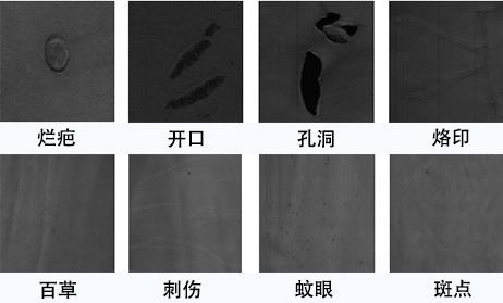 皮革表面檢測