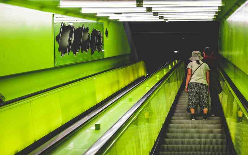如何利用視覺檢測技術進行車輛類型分類