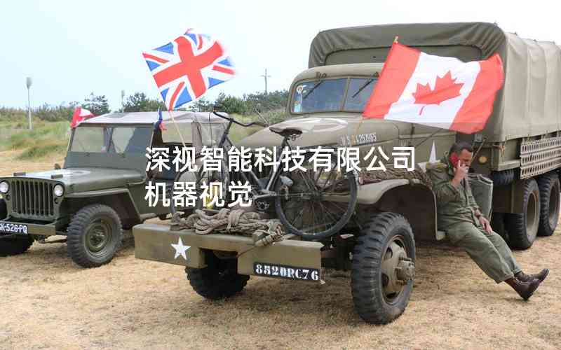 深視智能科技有限公司 機(jī)器視覺