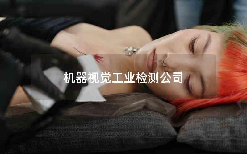 機(jī)器視覺工業(yè)檢測公司