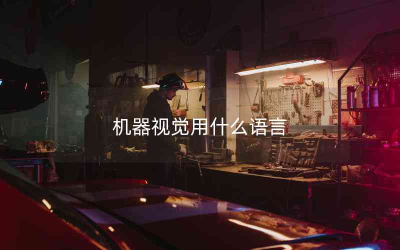 機(jī)器視覺用什么語(yǔ)言