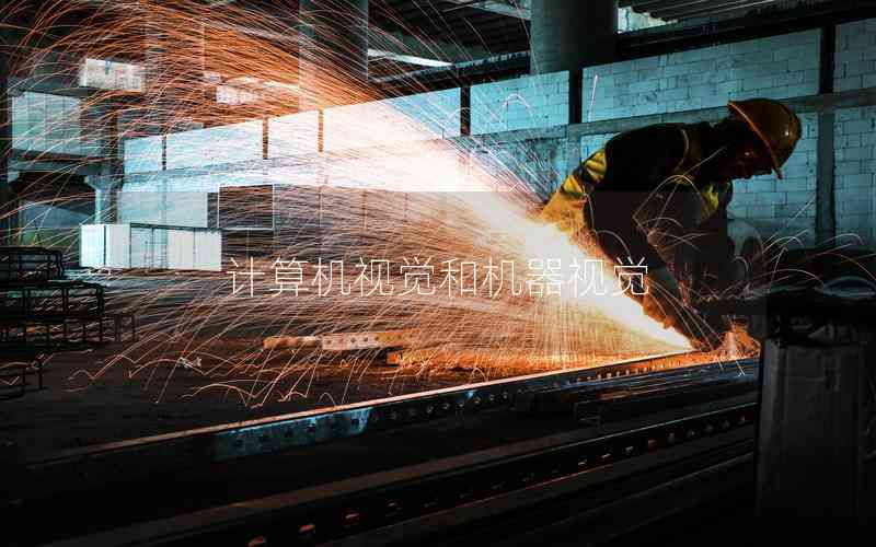 計算機(jī)視覺和機(jī)器視覺