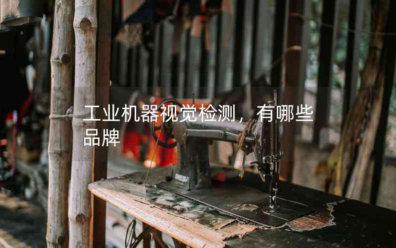 工業(yè)機器視覺檢測，有哪些品牌