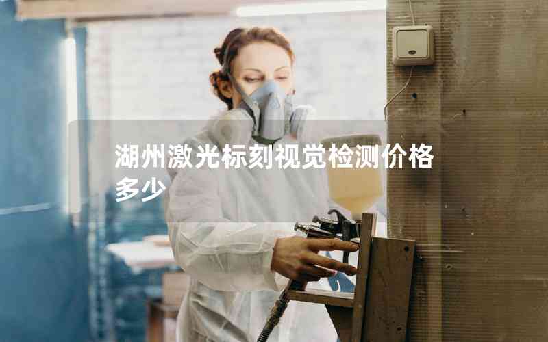 湖州激光標(biāo)刻視覺(jué)檢測(cè)價(jià)格多少