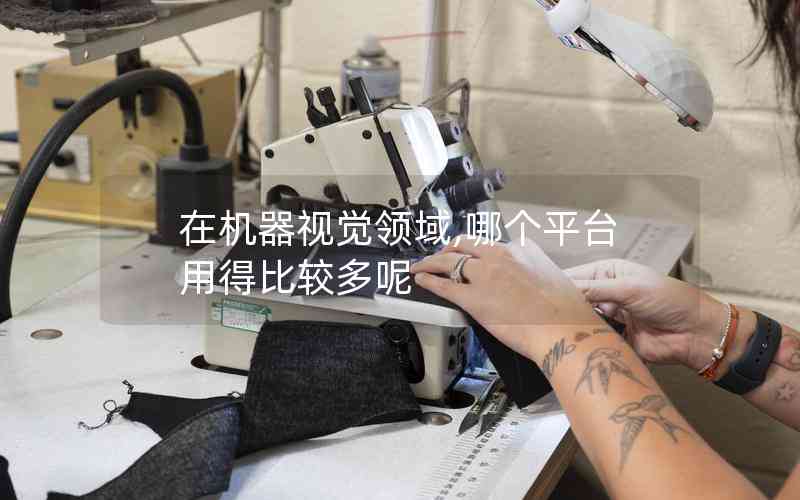 在機(jī)器視覺領(lǐng)域,哪個(gè)平臺(tái)用得比較多呢