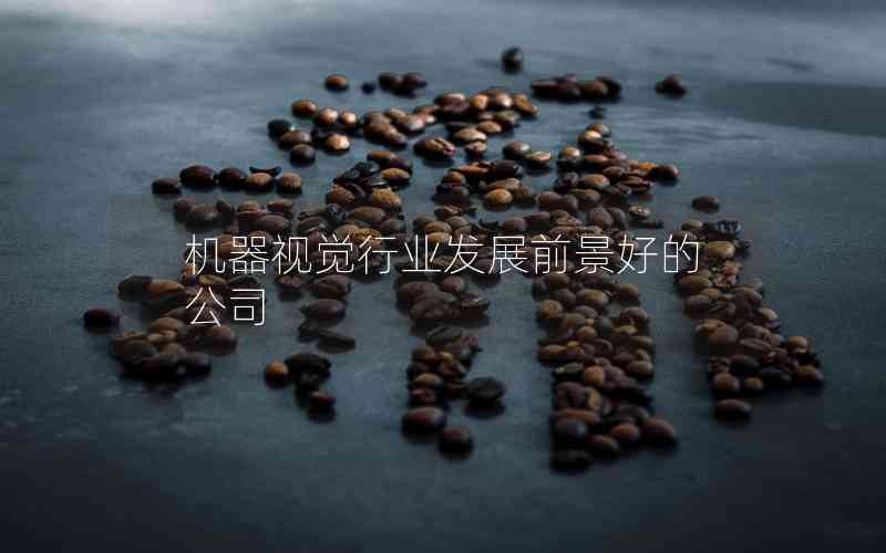 機(jī)器視覺行業(yè)發(fā)展前景好的公司
