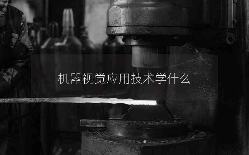 機器視覺應(yīng)用技術(shù)學(xué)什么