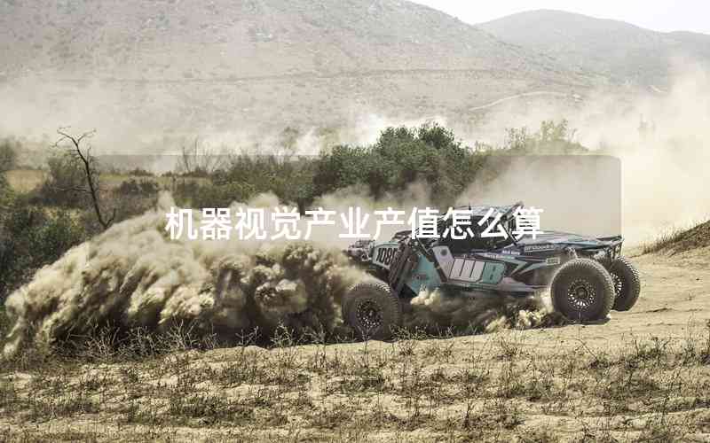 機(jī)器視覺產(chǎn)業(yè)產(chǎn)值怎么算