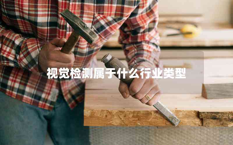 視覺檢測屬于什么行業(yè)類型