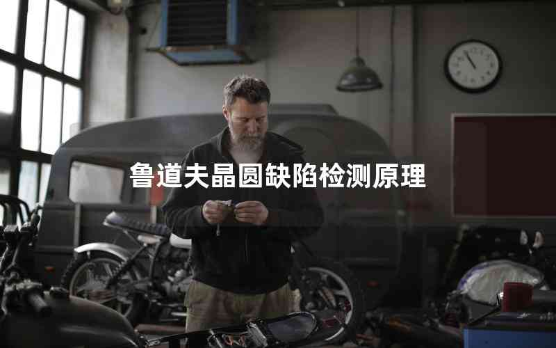 魯?shù)婪蚓A缺陷檢測(cè)原理