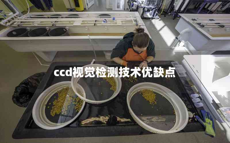 ccd視覺檢測(cè)技術(shù)優(yōu)缺點(diǎn)