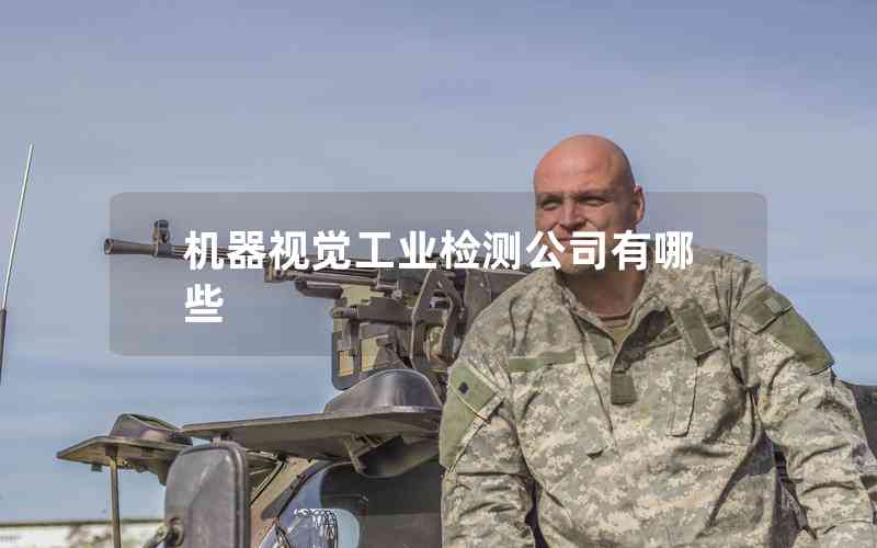 機(jī)器視覺工業(yè)檢測公司有哪些
