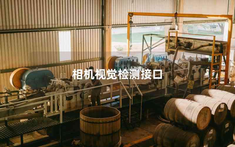 相機(jī)視覺檢測接口