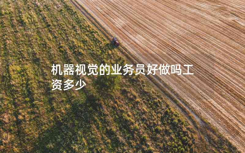 機器視覺的業(yè)務員好做嗎工資多少