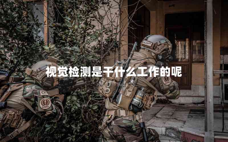 視覺檢測(cè)是干什么工作的呢