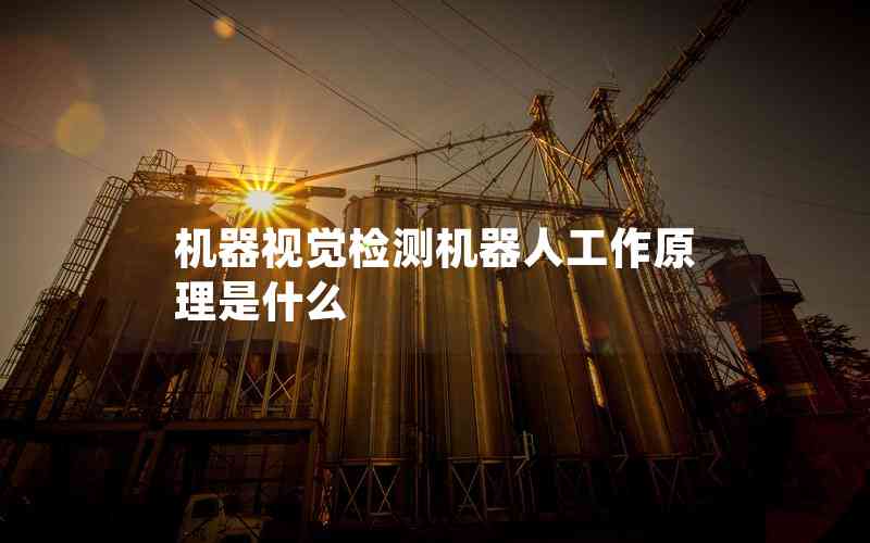 機(jī)器視覺檢測機(jī)器人工作原理是什么