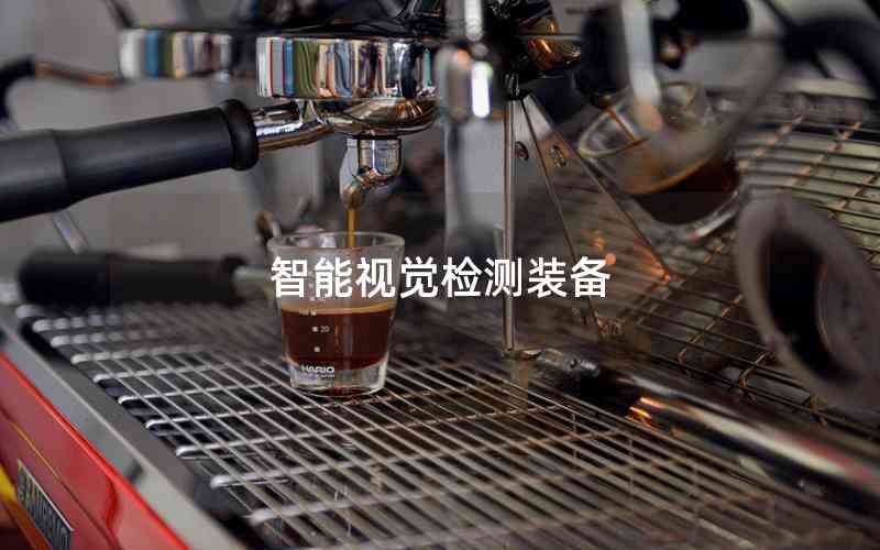 智能視覺(jué)檢測(cè)裝備