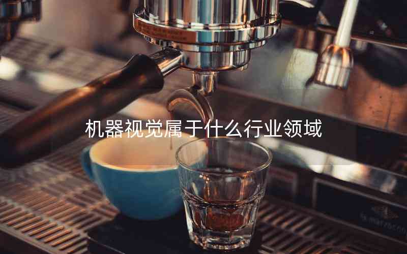 機器視覺屬于什么行業(yè)領(lǐng)域