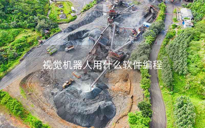 視覺(jué)機(jī)器人用什么軟件編程