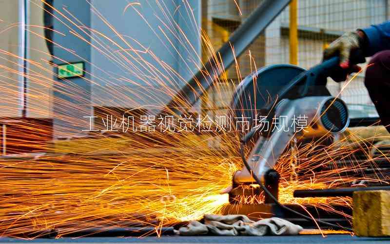 工業(yè)機器視覺檢測市場規(guī)模