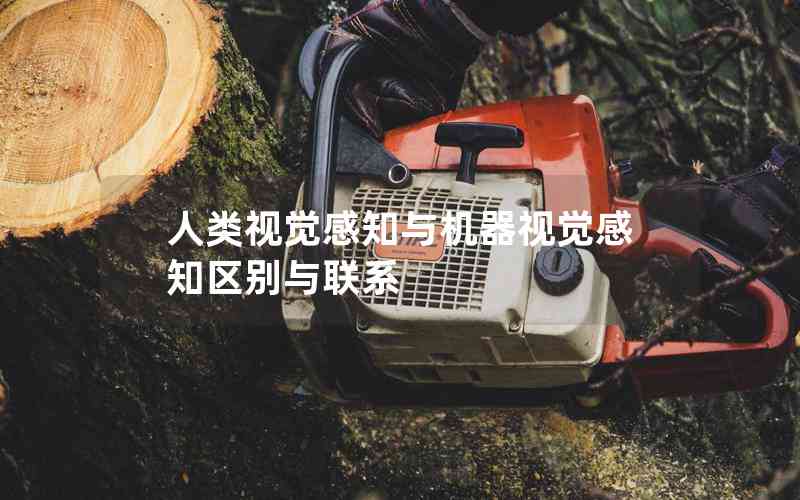 人類視覺(jué)感知與機(jī)器視覺(jué)感知區(qū)別與聯(lián)系
