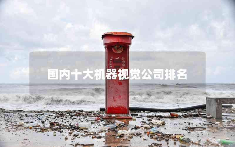 國內十大機器視覺公司排名