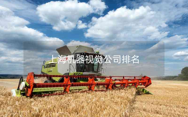 上海機(jī)器視覺公司排名
