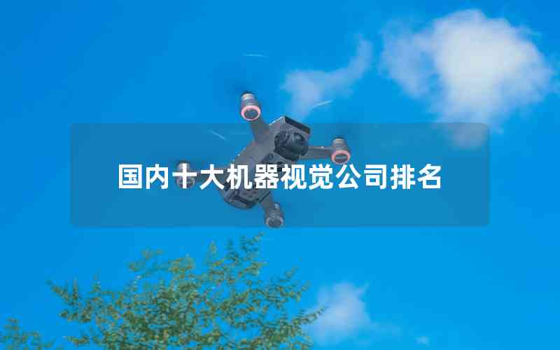 國(guó)內(nèi)十大機(jī)器視覺(jué)公司排名