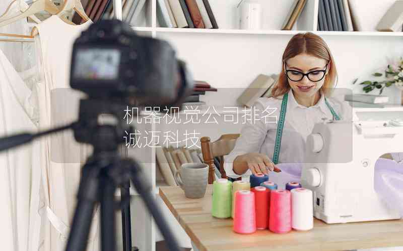 機器視覺公司排名 誠邁科技