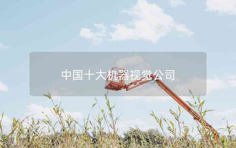 中國(guó)十大機(jī)器視覺公司