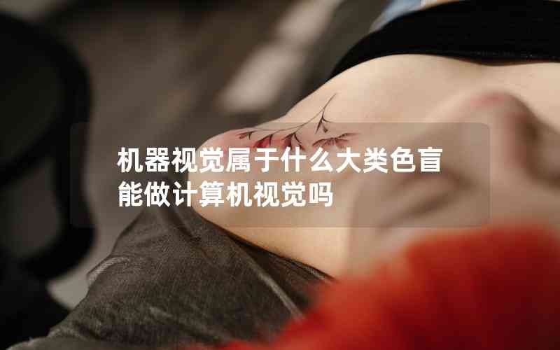機(jī)器視覺屬于什么大類色盲能做計(jì)算機(jī)視覺嗎