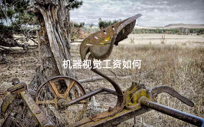機(jī)器視覺工資如何
