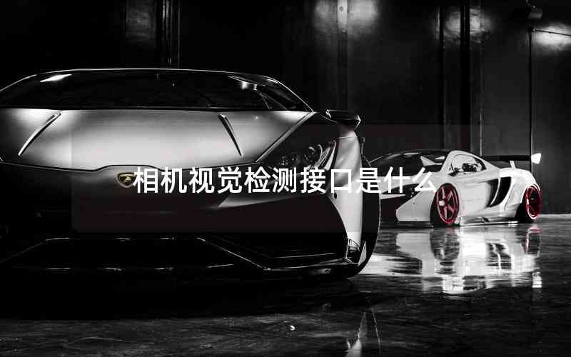 相機(jī)視覺檢測接口是什么