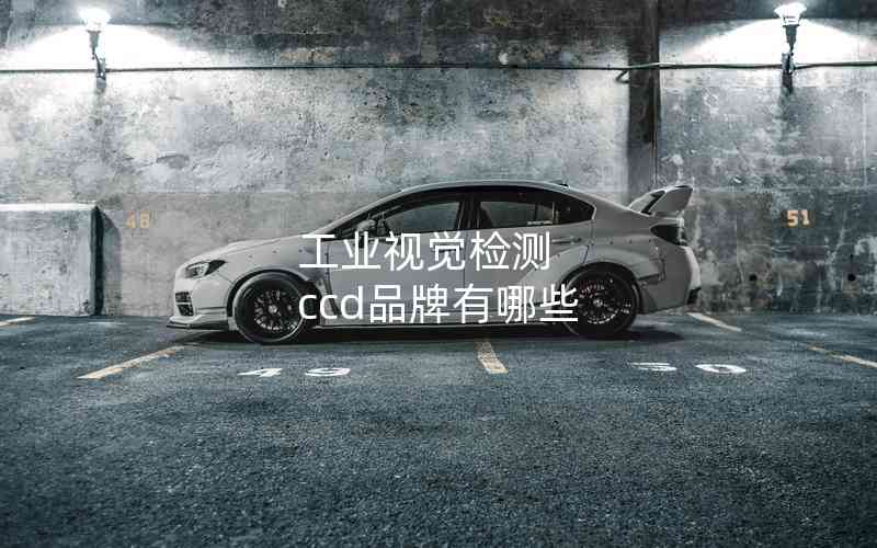 工業(yè)視覺(jué)檢測(cè) ccd品牌有哪些