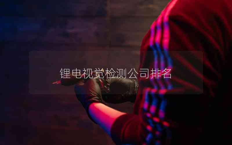 鋰電視覺(jué)檢測(cè)公司排名