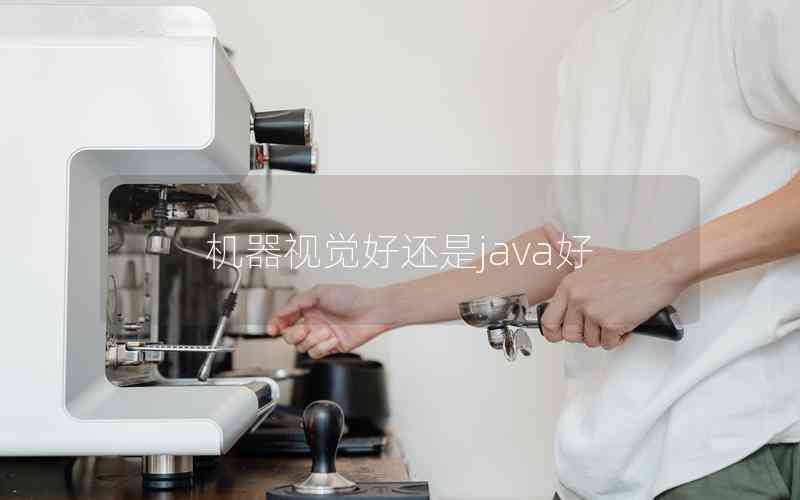 機(jī)器視覺好還是java好