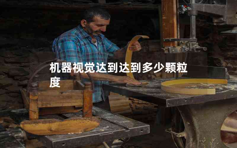 機器視覺達到達到多少顆粒度