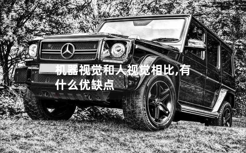 機(jī)器視覺和人視覺相比,有什么優(yōu)缺點(diǎn)