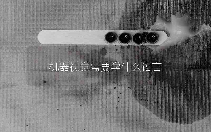 機(jī)器視覺(jué)需要學(xué)什么語(yǔ)言