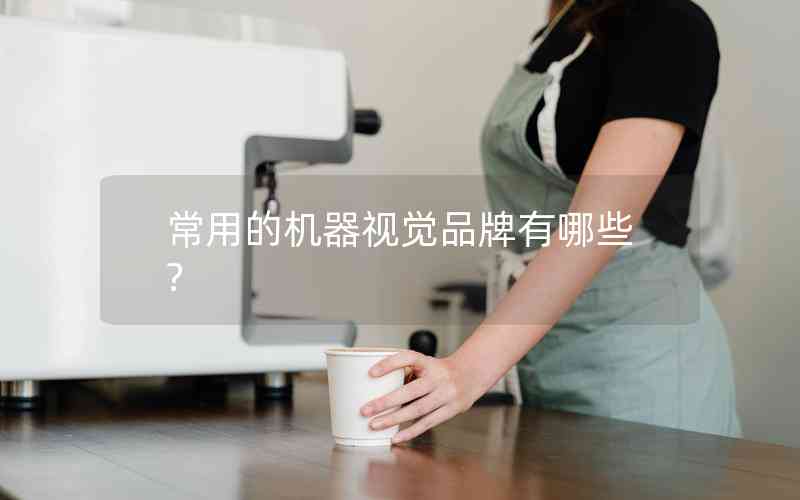 常用的機(jī)器視覺品牌有哪些?