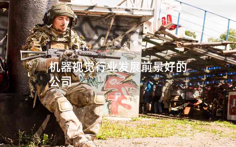 機(jī)器視覺(jué)行業(yè)發(fā)展前景好的公司