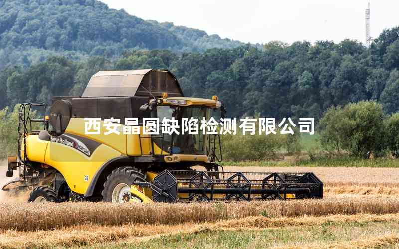 西安晶圓缺陷檢測(cè)有限公司