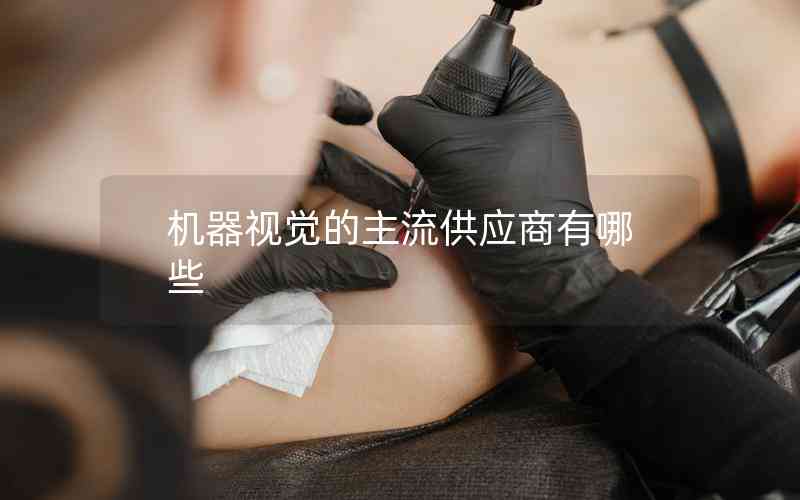 機(jī)器視覺(jué)的主流供應(yīng)商有哪些
