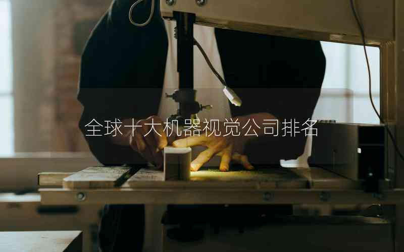 全球十大機器視覺公司排名