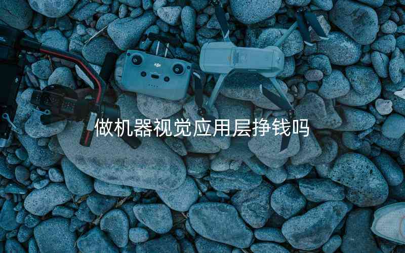 做機(jī)器視覺應(yīng)用層掙錢嗎