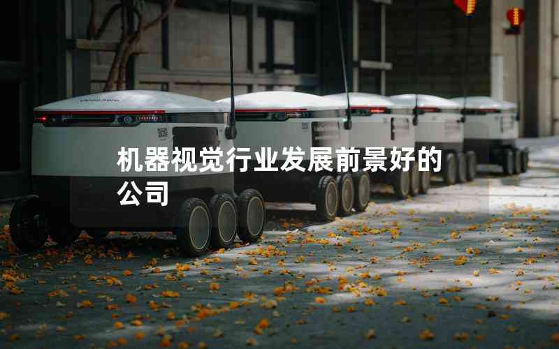 機(jī)器視覺行業(yè)發(fā)展前景好的公司