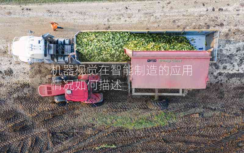 機器視覺在智能制造的應(yīng)用情況如何描述