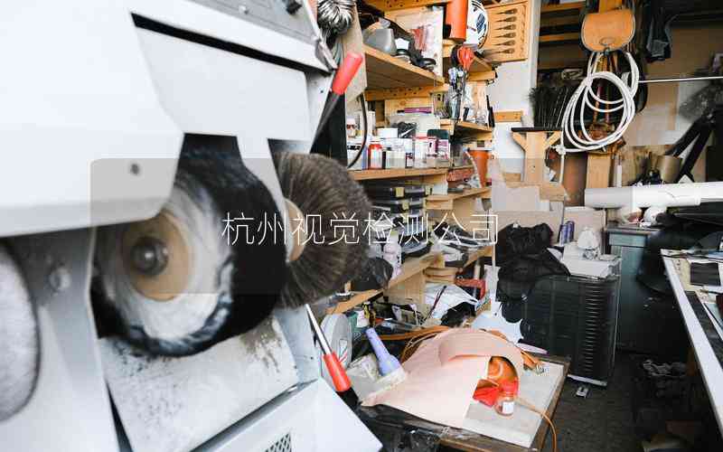 杭州視覺檢測公司
