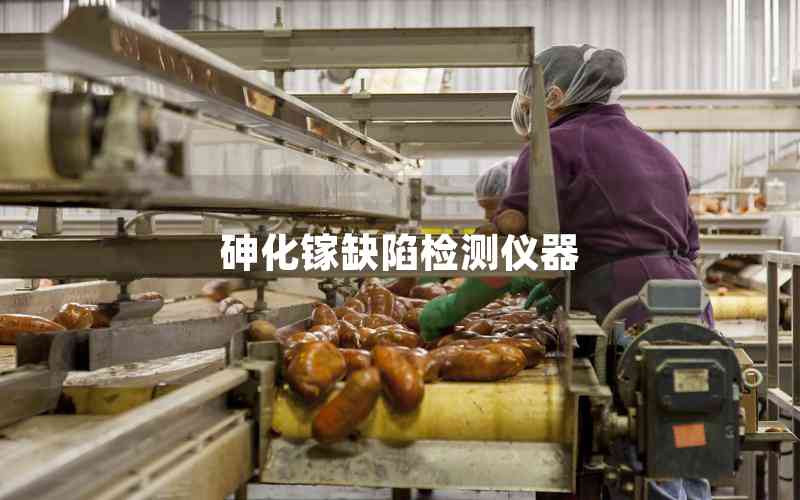 砷化鎵缺陷檢測(cè)儀器