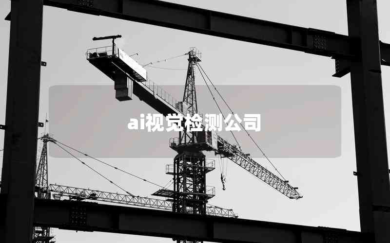 ai視覺(jué)檢測(cè)公司